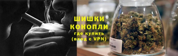 гидра Козельск