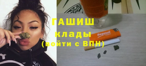 стаф Кодинск