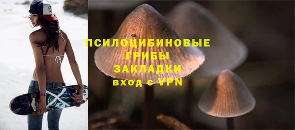 гидра Козельск