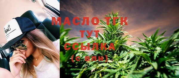 стаф Кодинск