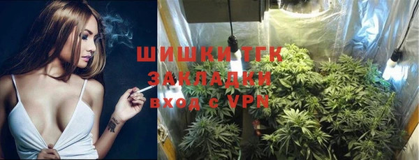 стаф Кодинск