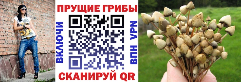 Псилоцибиновые грибы Magic Shrooms  Купить  Севск 