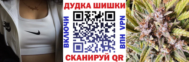 Купить закладки  Севск  МАРИХУАНА SATIVA & INDICA 